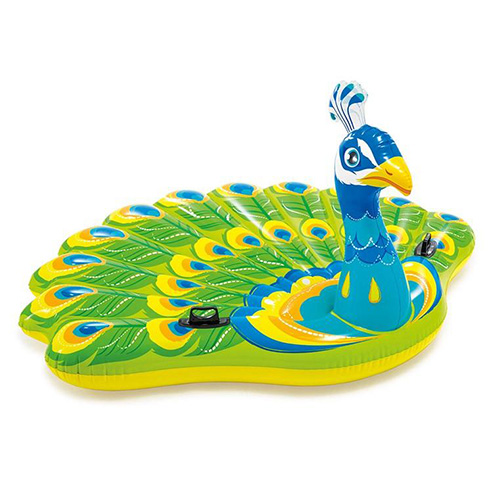 شناور بادی روی آب طاووس intex 57250 ارزان | فروشگاه اینتکس