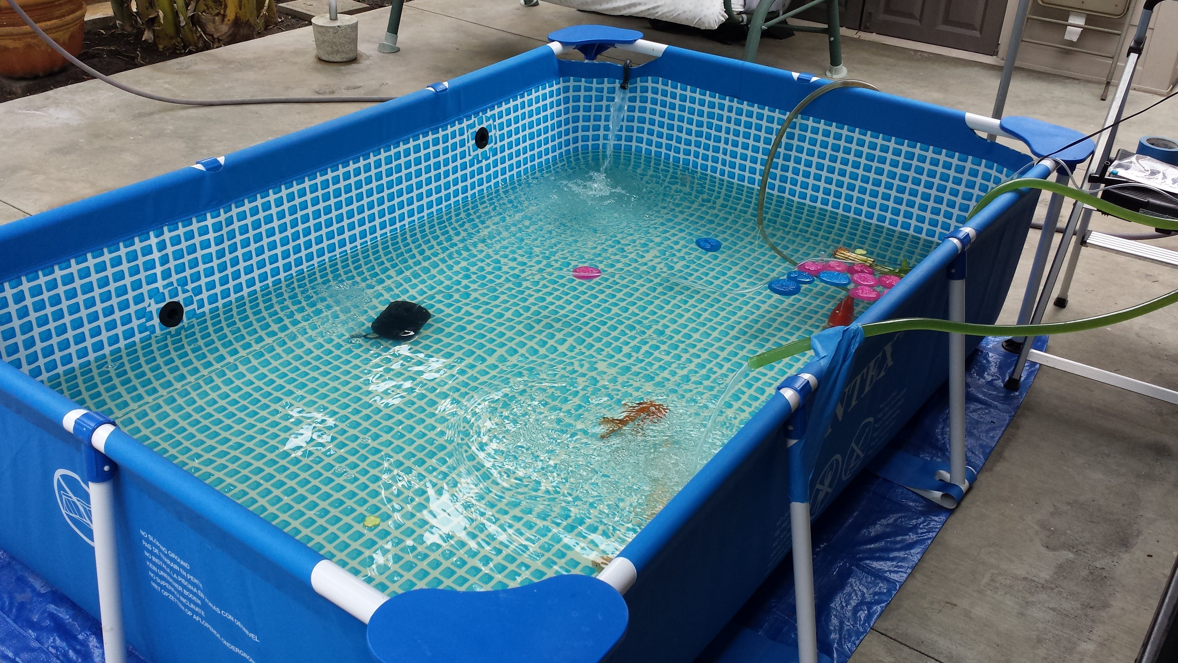 ساخت استخر پرورش ماهی